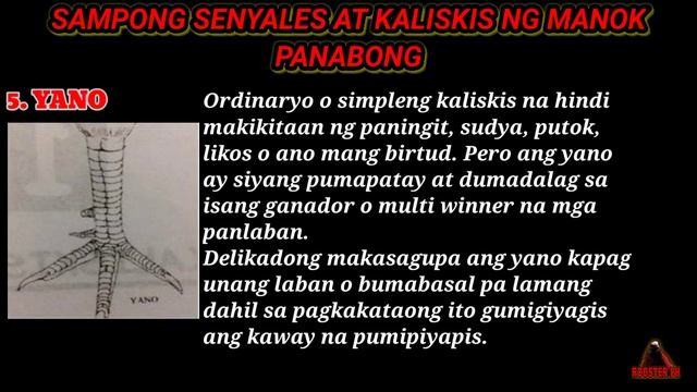 10 Signs of rooster scales (SIGNS AND SCALES OF ROOSTERS FEET) смотреть онлайн