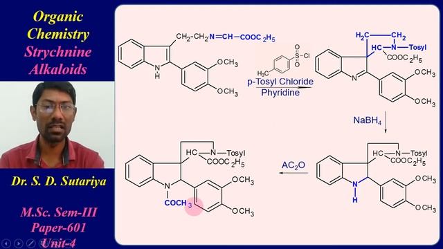 Alkaloids Strychnine Synthesis | Alkaloids MSc chemistry Part-9 | Organic Chemistry M.Sc. Sem-3 смотреть онлайн