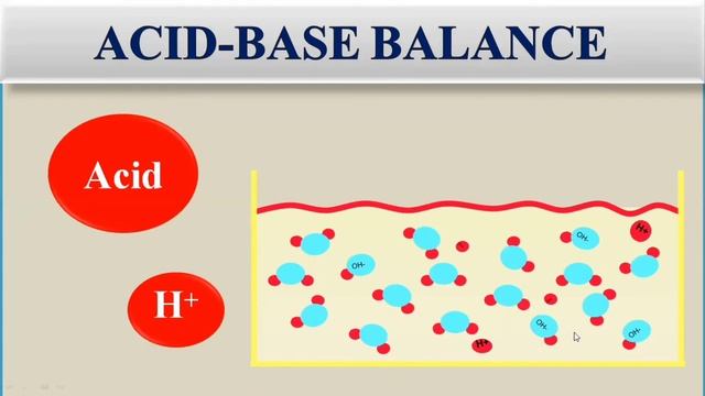 Acid Base Balance | Sources of Hydrogen Ion | Physiologically Important Acids and Bases | Physiolog смотреть онлайн