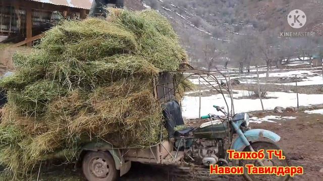 Мототсикли худроскуна би 50 дарза каха бурд. смотреть онлайн