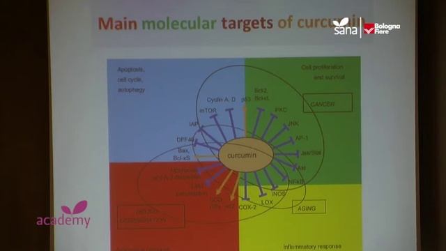SANA ACADEMY 2016: Claudio Franceschi professore emerito Università di Bologna (2°) смотреть онлайн