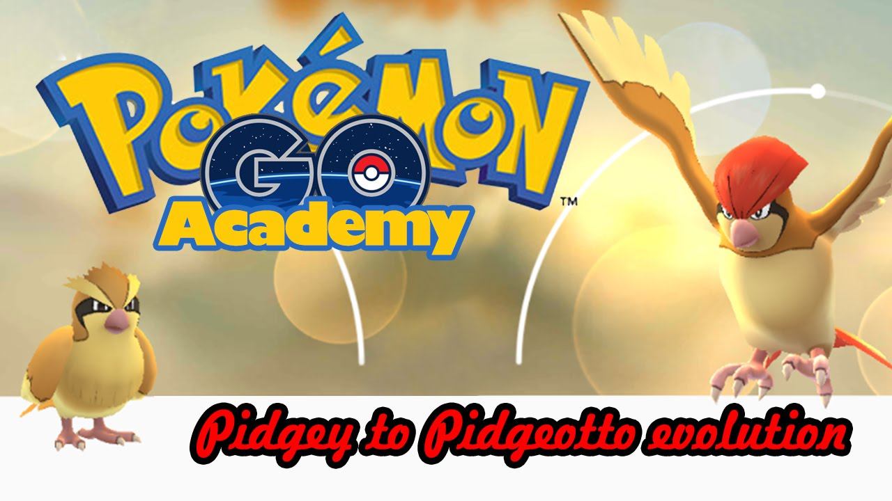 Pokemon Go - Pidgey to Pidgeotto evolution | Покемон ГО - Эволюция Пиджи в Пиджеотто смотреть онлайн