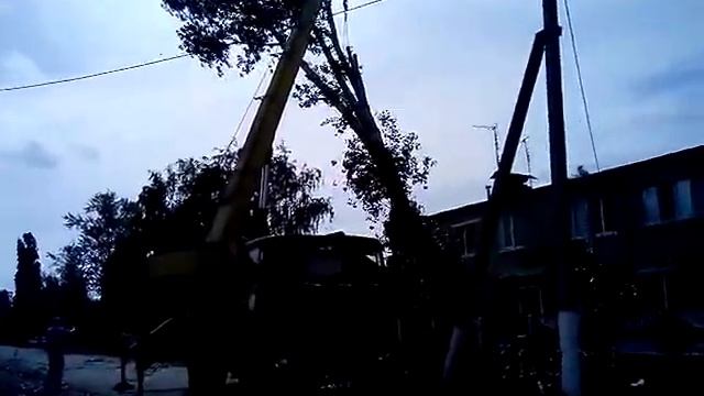 Как спецы спиливают 30 летние тополя смотреть онлайн