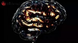 L-АРГИНИН Польза L -АРГИНИНА для человека.