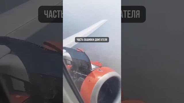Видео, которое может вызвать аэрофобию смотреть онлайн