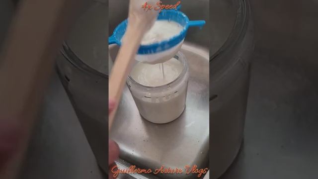 Bulgaros de leche para hacer Kefir смотреть онлайн