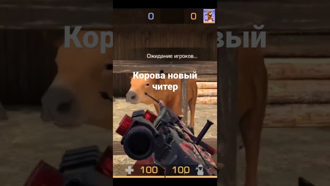Забаньте корову она с читами #шутка #standoff2 #угар смотреть онлайн