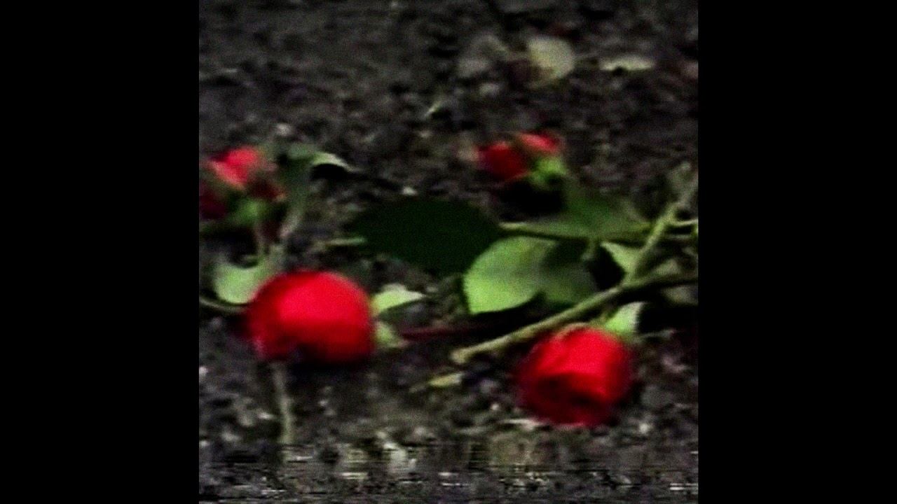 epileptic kid - shawty can i call u? смотреть онлайн