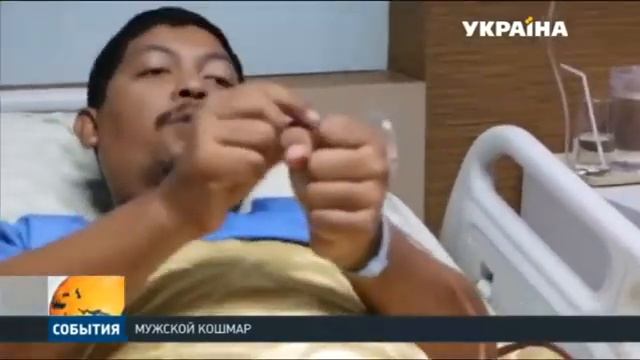 змея смотреть онлайн
