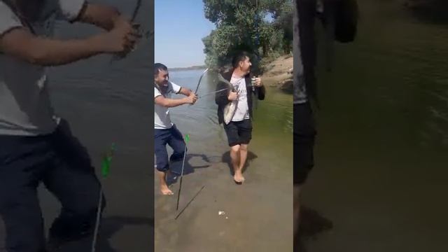 Сырдария Амур 5 кг смотреть онлайн