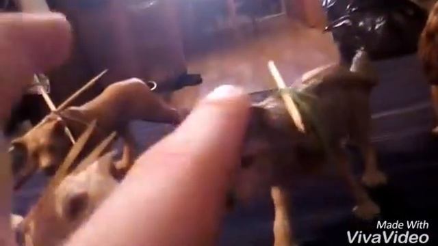 НоВиНкИ и НоВоСтИ смотреть онлайн