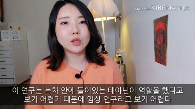 테아닌의 놀라운 8가지 효능｜부작용｜적정 복용량 смотреть онлайн