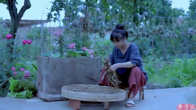 How To Make A Chinese Sour Bean Pickle? 吃不完的豆角晾足日头，做成干豇豆炖肉喷香|Liziqi Channel