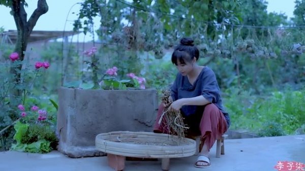 How to make a Chinese sour bean pickle? 吃不完的豆角晾足日头,做成干豇豆炖肉喷香|Liziqi channel