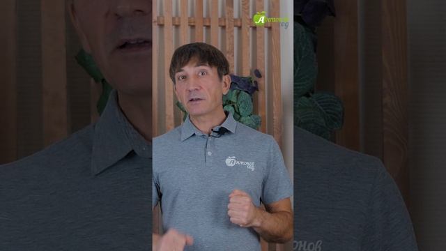 Вносите навоз правильно! смотреть онлайн