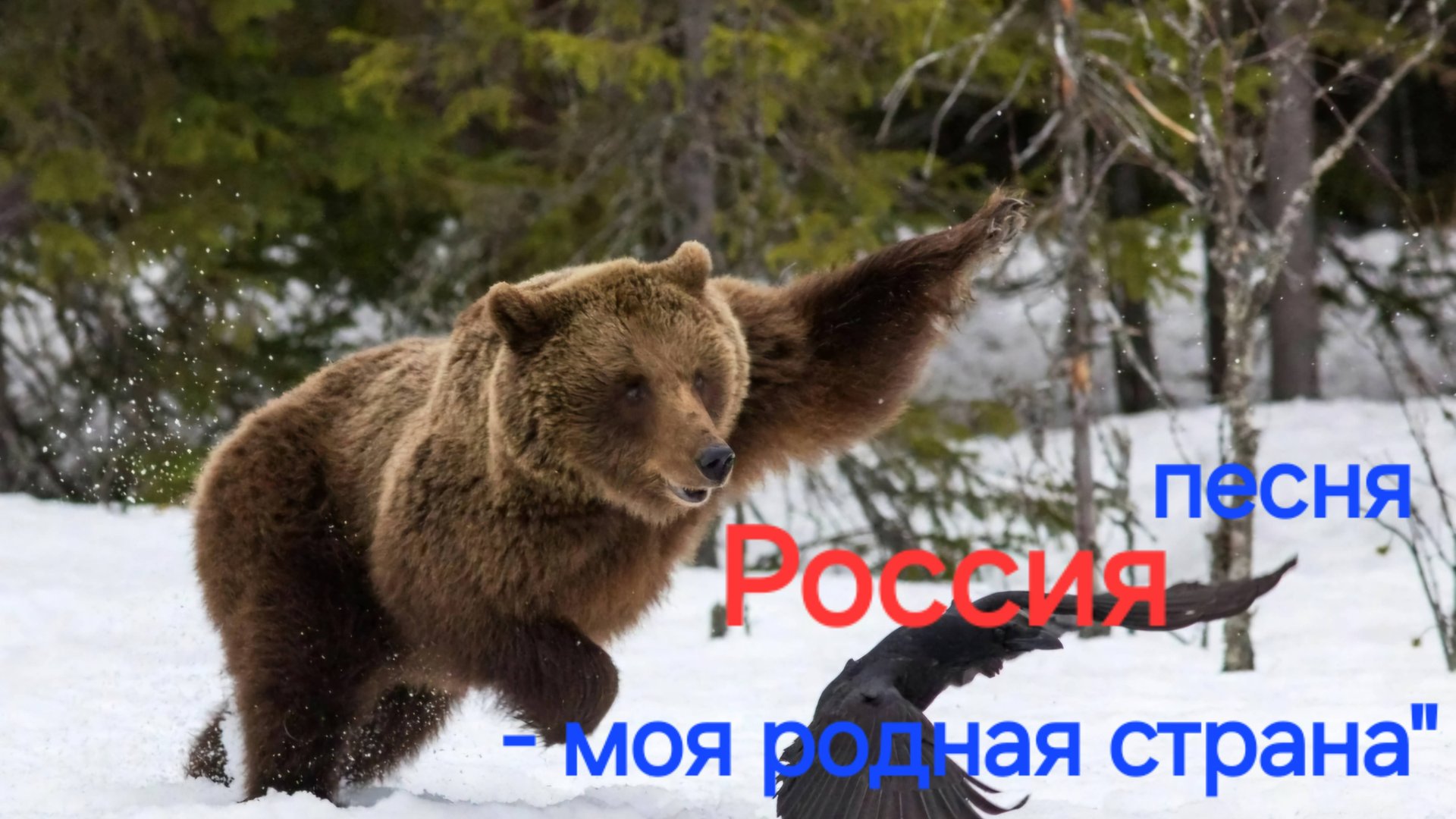 песня "Россия-моя родная страна"