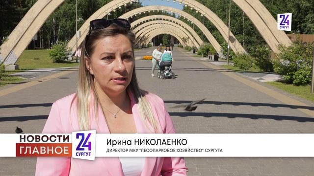 Нашествие мошек и комаров - все из-за высокой воды. Как спастись от гнуса? смотреть онлайн