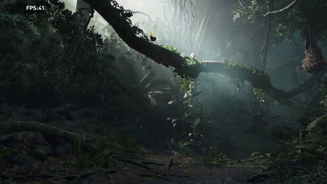 Shadow of the Tomb Raider Benchmark - ASUS TUF A15 (PH) AMD Ryzen 7 5800H + NVIDIA GeForce RTX 3060 смотреть онлайн