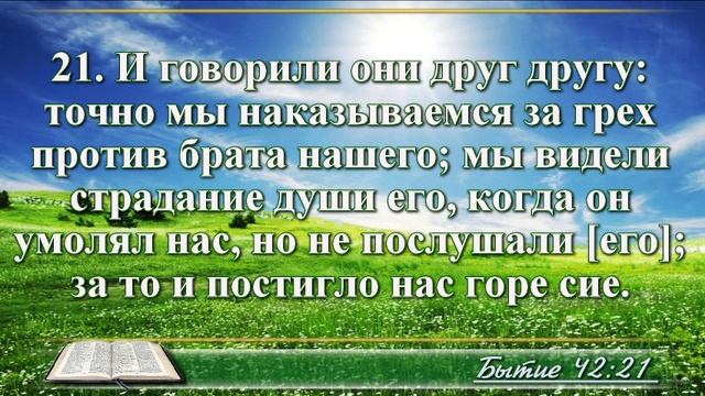ВидеоБиблия Бытие без музыки глава 42 Соколов смотреть онлайн