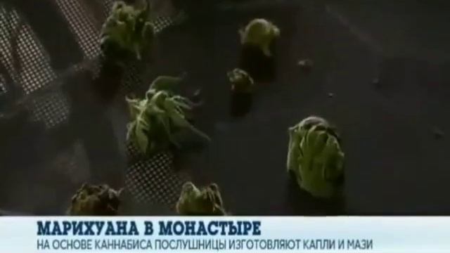 Пойду в монахи смотреть онлайн