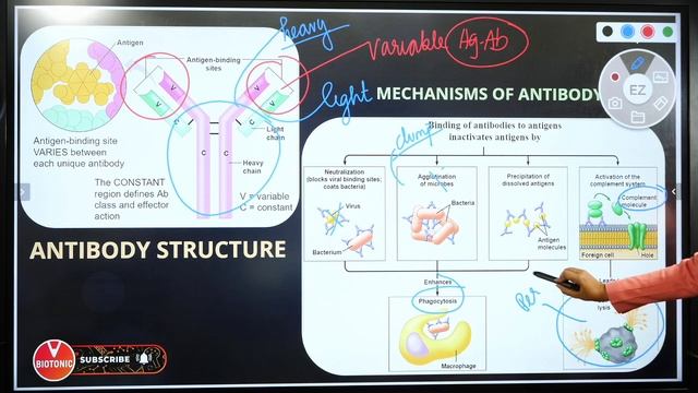NEET Biology | Biology in Human Welfare Class 12 NEET Marathon Part-4 | Vedantu смотреть онлайн