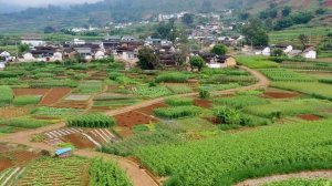 「云南牛味百态」牛肚——麻辣火锅的灵魂食材【滇西小哥】