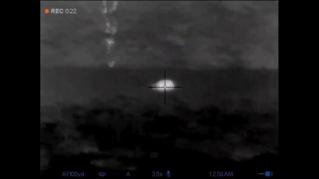 2 Texas Hogs Down with Pulsar Thermiom XM30 Thermal смотреть онлайн