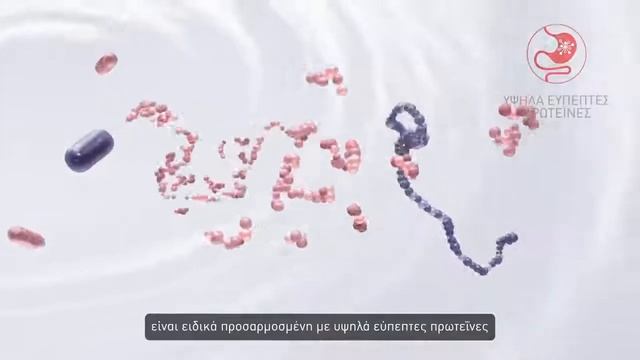 Royal Canin Kitten Start of Life Digestion Kitten смотреть онлайн