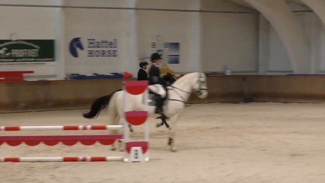 Penttilä Sara & Mon Ami 80cm @ Stable Nova 16.-18.11.2018 смотреть онлайн