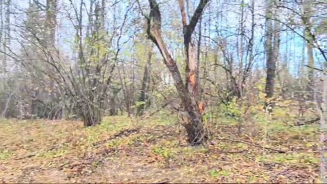 визу 557 смотреть онлайн
