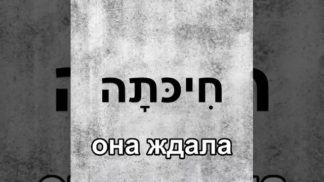 Прошедшее время глагола לחכות