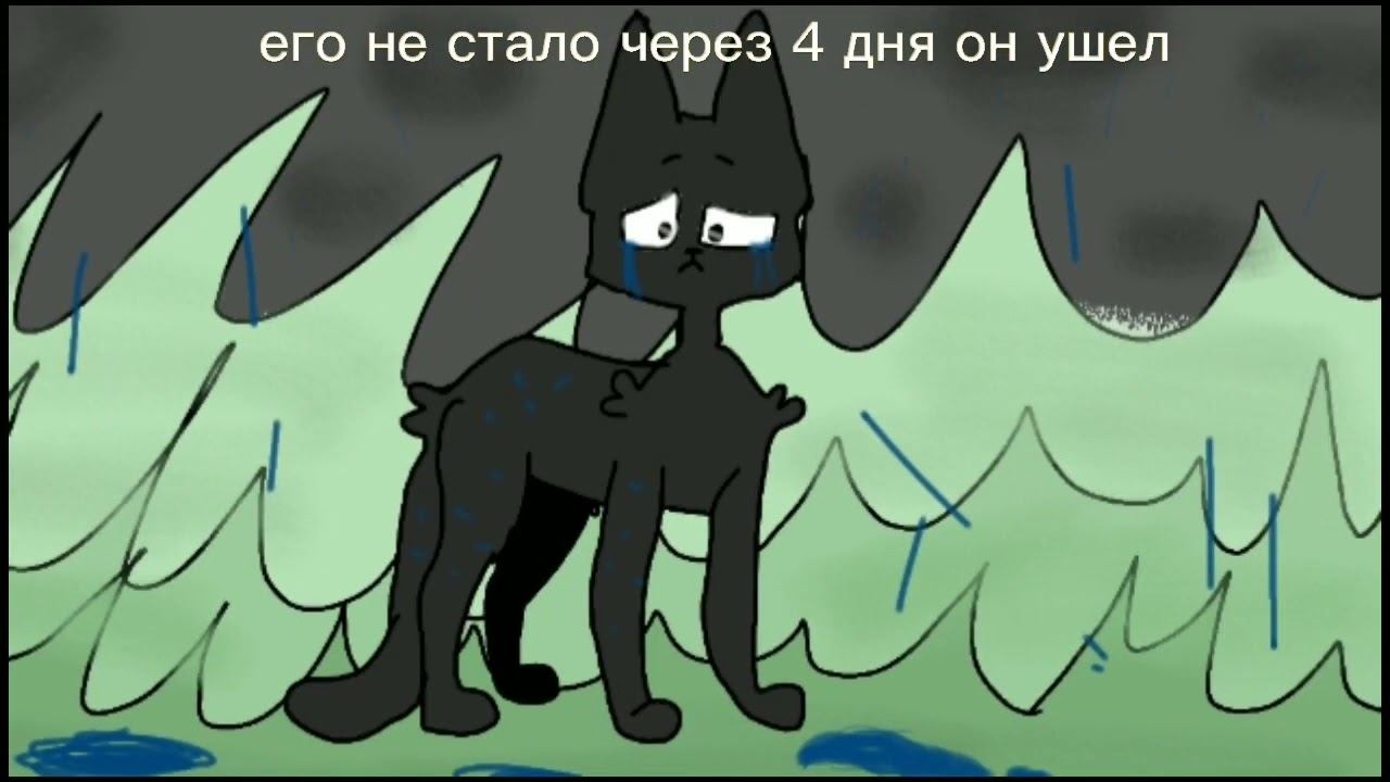 Mahobus world. История моей Кошки Изи от начала до конца. смотреть онлайн