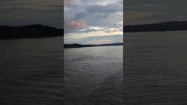 Рыбалка в низовье Амура смотреть онлайн