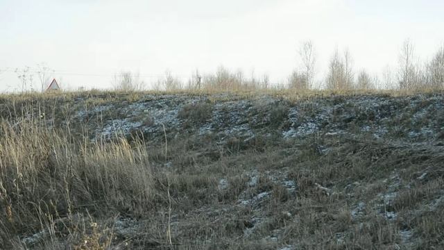 Оптимальные условия для развития ребенка смотреть онлайн