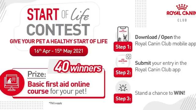 Royal Canin Start of Life Contest смотреть онлайн
