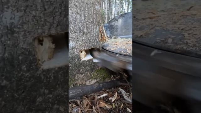 🤔 смотреть онлайн