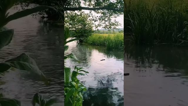 #природа #nature #shortvideo #top #world #водопады #subscribe #стихии смотреть онлайн