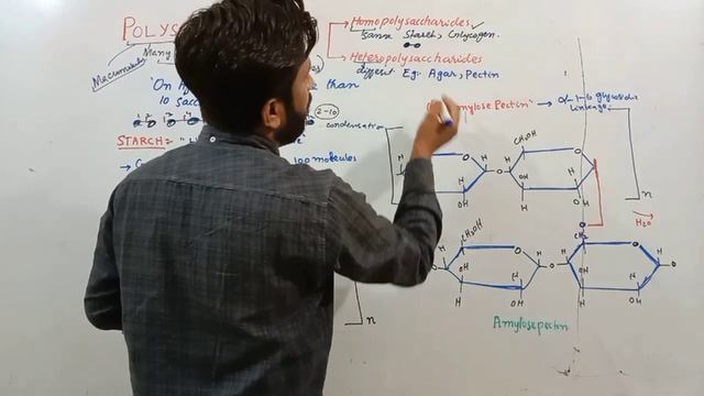 Polysaccharide, Starch Amylose & Amylopectin lecture 6 by Sunil Narwani in Urdu/ Hindi смотреть онлайн