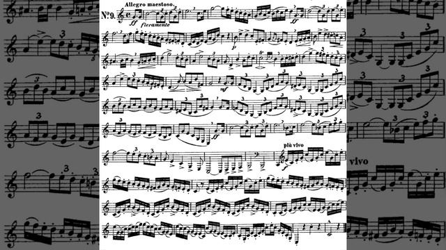TMEA 2024-2025 Horn Etude No.1 first half смотреть онлайн