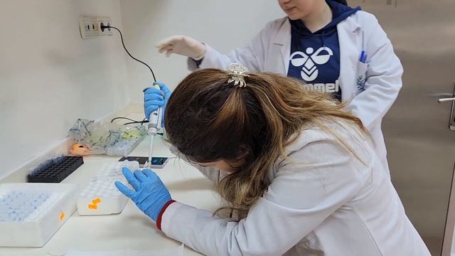 IN VIVO EXPERIMENT [ENG SUB] смотреть онлайн