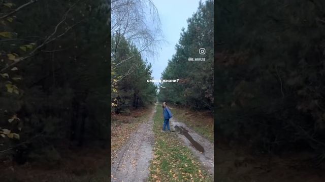 Смысл жизни заключается в том, что бы………? #life смотреть онлайн