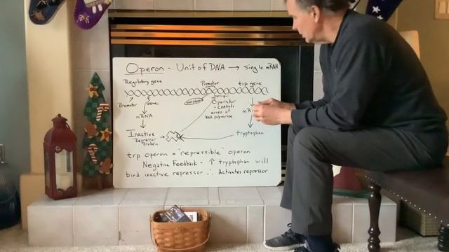 Gene Expression смотреть онлайн