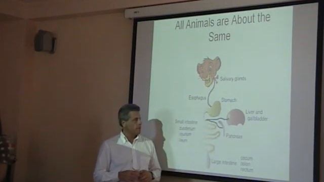 08 смотреть онлайн