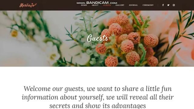 MerlinJo Clean Wedding: разработка шаблона дизайна сайта для WordPress