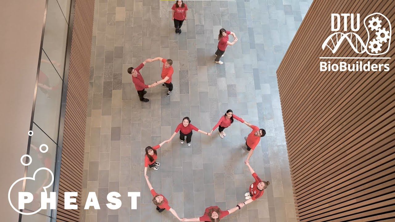 PHEAST - DTU BioBuilders project promotion video 2021 смотреть онлайн