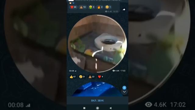 Курица упала в туалет смотреть онлайн