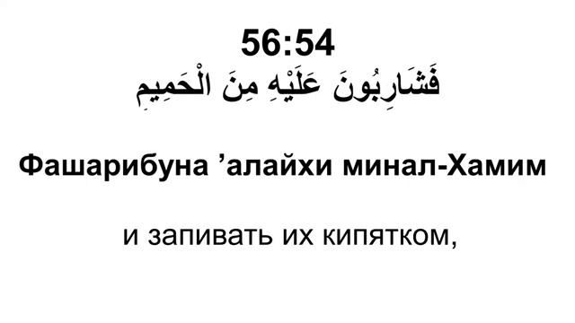 Сура 56 аль-Вакы'а - Мишари Рашид смотреть онлайн