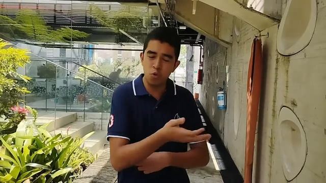 ¿Alcalde por un trino? смотреть онлайн