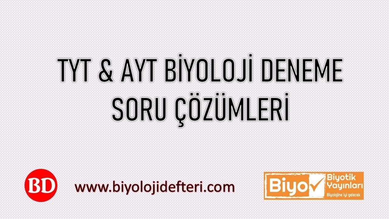 BİYOTİK YAYINLARI TYT DENEME SORU ÇÖZÜMLERİ#39 смотреть онлайн