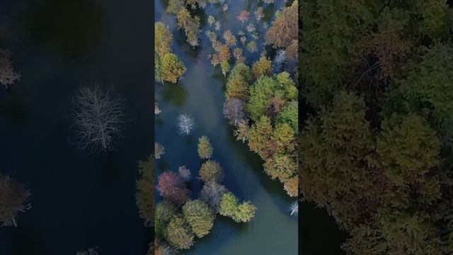 Kant in 60 seconds смотреть онлайн